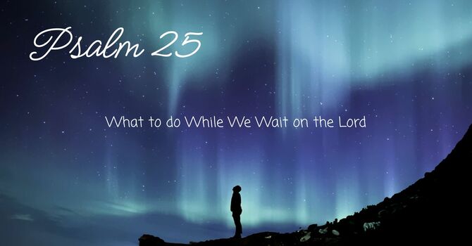 What To Do While We Wait On The Lord
