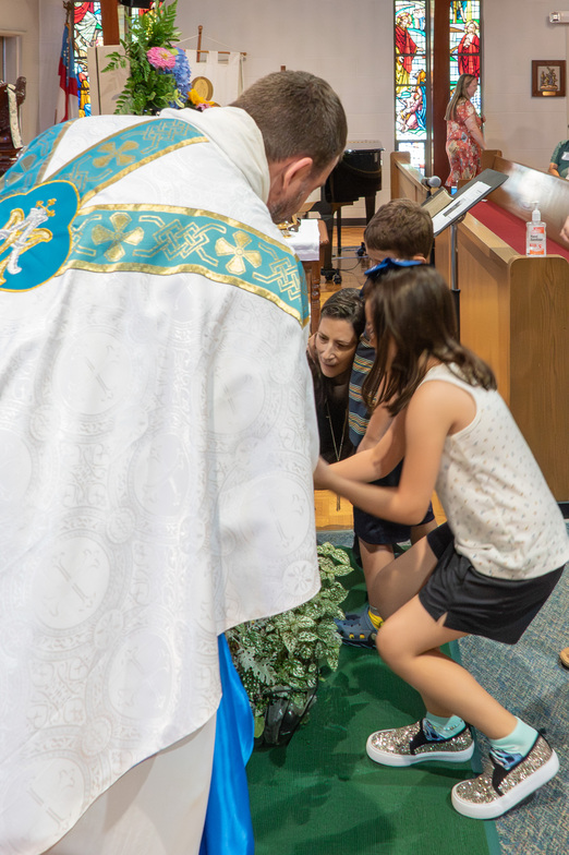 Slideshow image