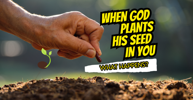 When God Plants His Seed In You image