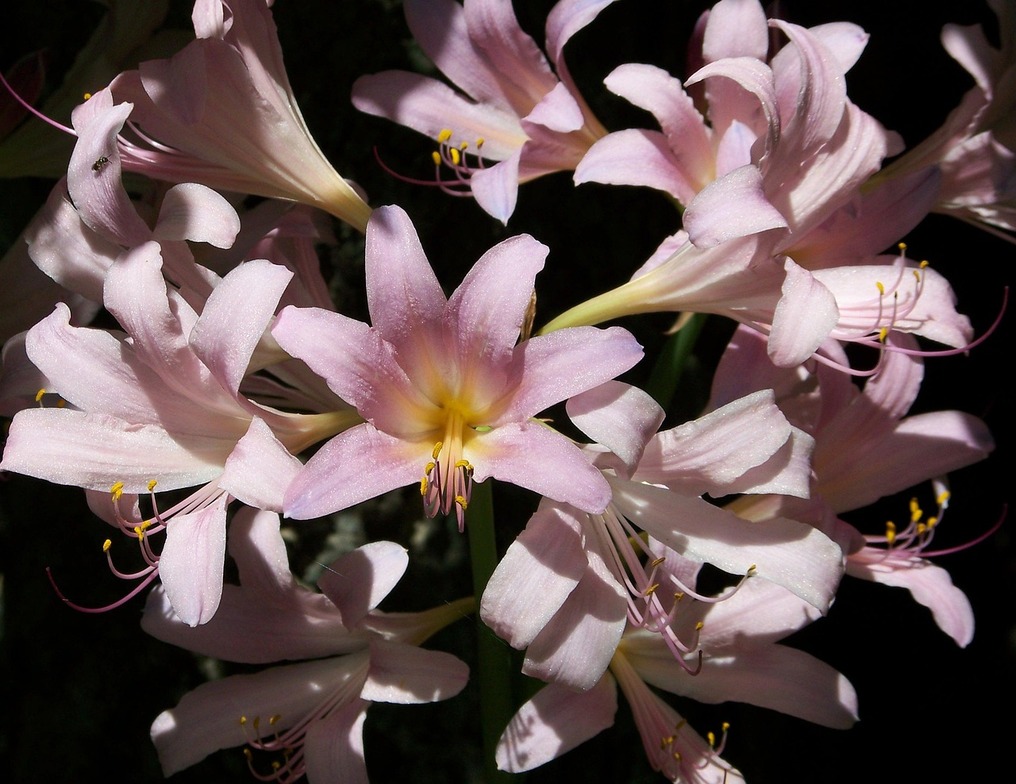 Slideshow image