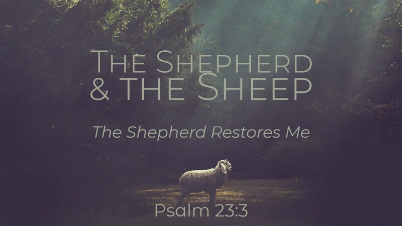 "The Shepherd & the Sheep | The Shepherd Restores Me"