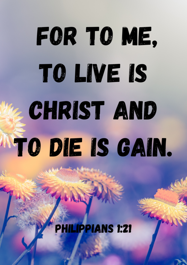 VERSE OF THE WEEK
