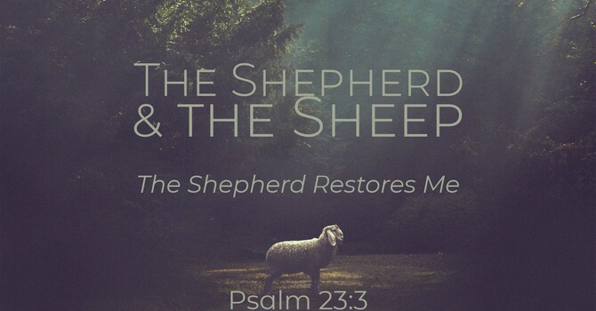 "The Shepherd & the Sheep | The Shepherd Restores Me"