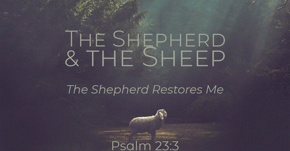 "The Shepherd & the Sheep | The Shepherd Restores Me"