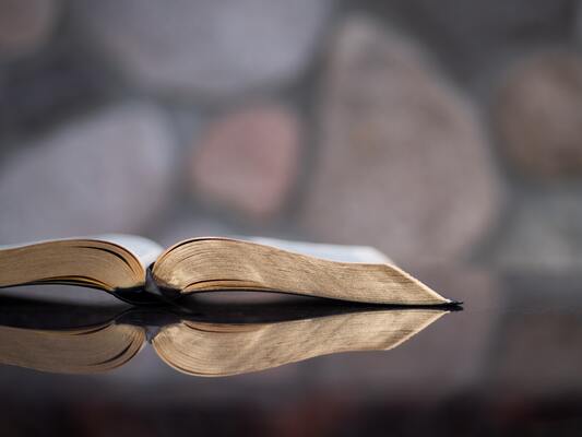 A Bible Revival