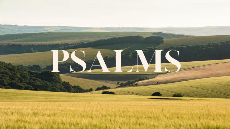 Psalm 41