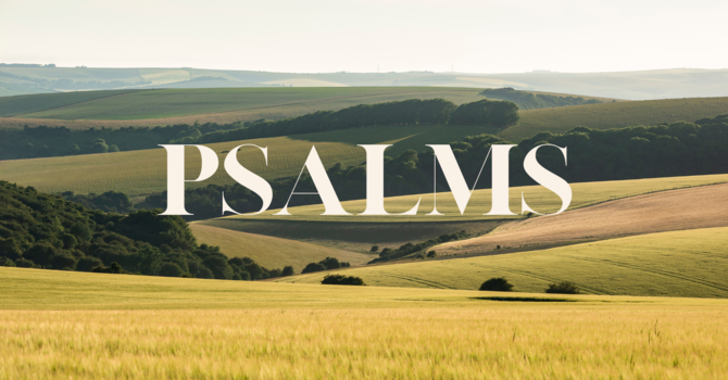 Psalm 41