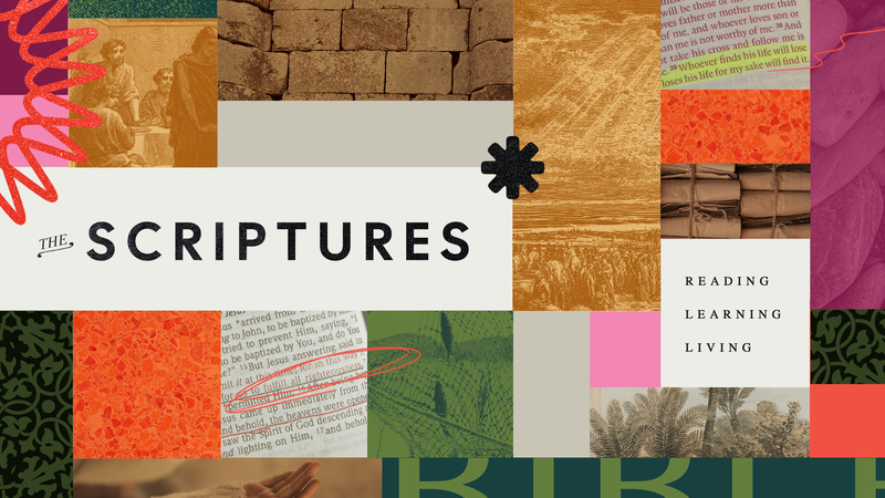 The Skill Of Scripture