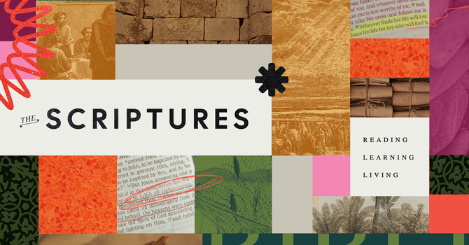 The Skill Of Scripture