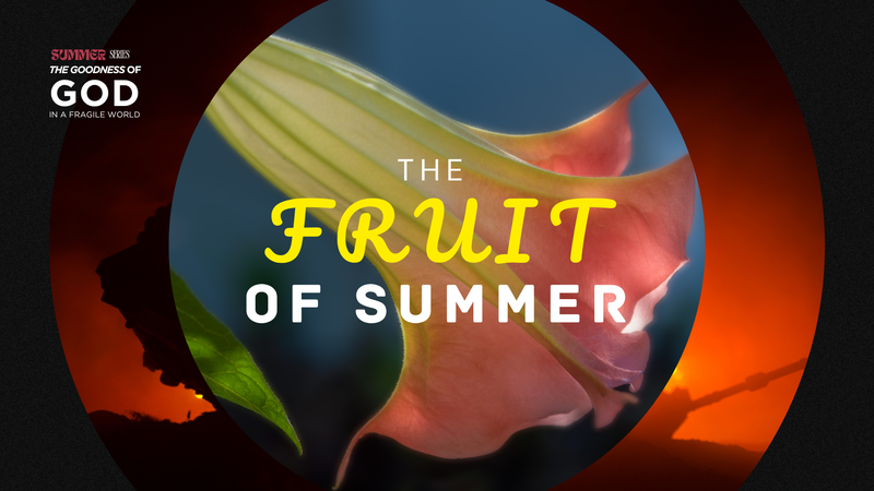 THE FRUIT OF SUMMER