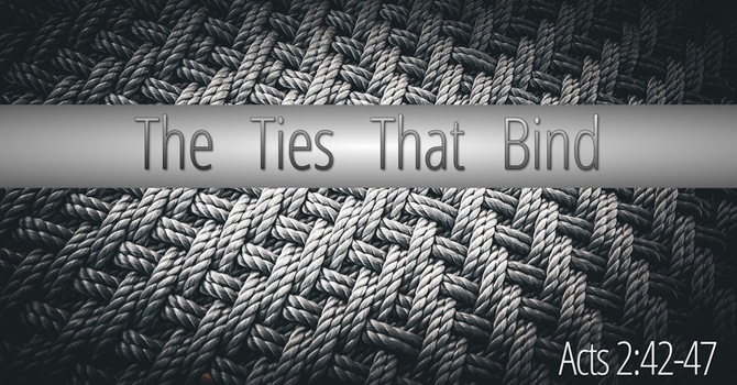 The Ties That Bind