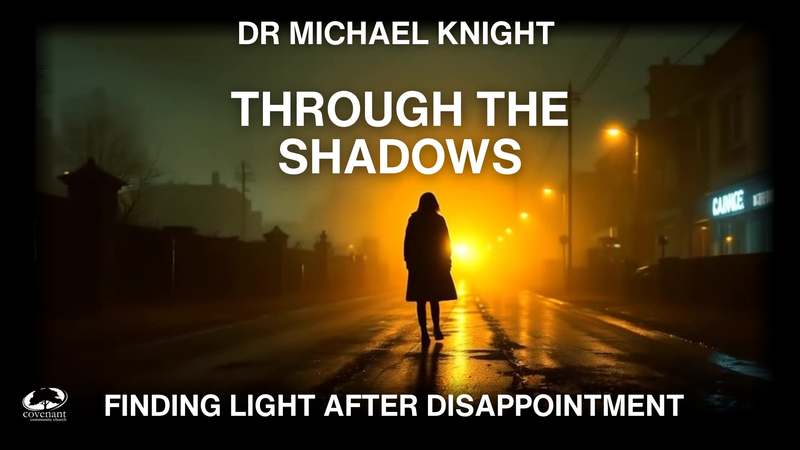 Through The Shadows