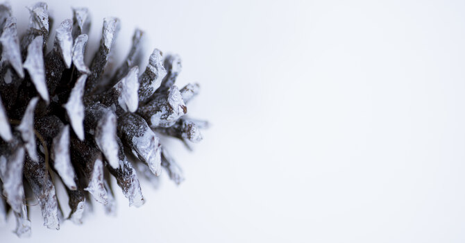 New Year's Eve Service