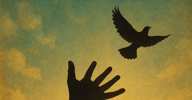 Freedom