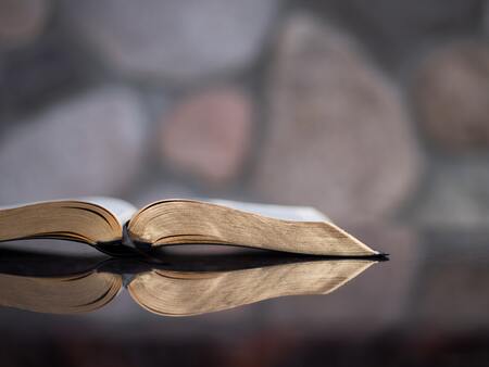 A Bible Revival