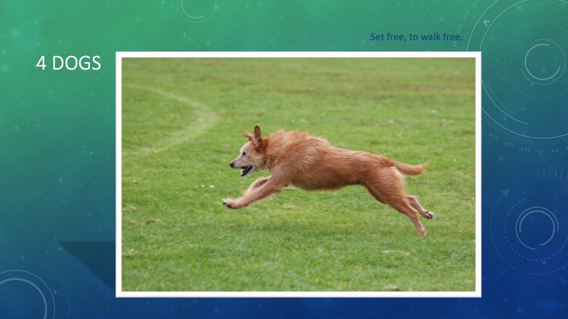 Set Free To Walk Free