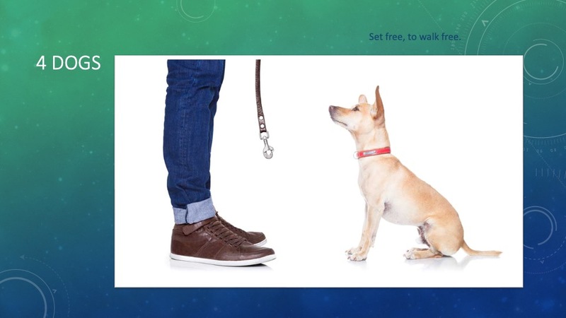 Set Free To Walk Free