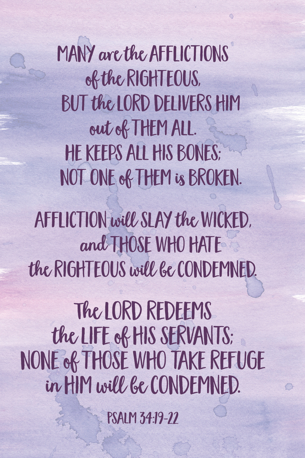 Fighter Verse | August 17, 2025