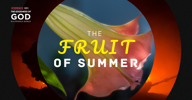 THE FRUIT OF SUMMER