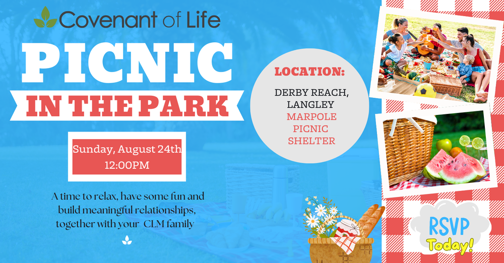 Picnic in the Park