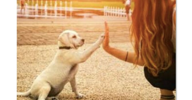 Blessing of the Animals