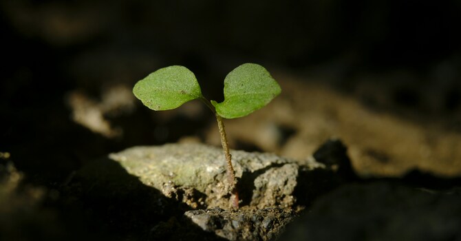 Stewardship Ministry