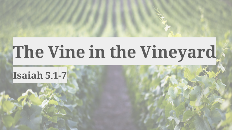 The Vine and the Vineyard