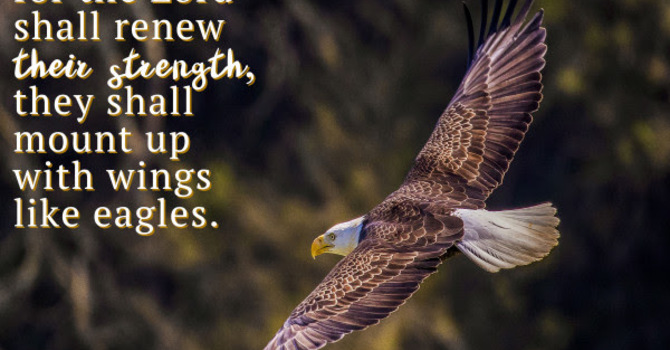 Joey's Tuesday Devotional image
