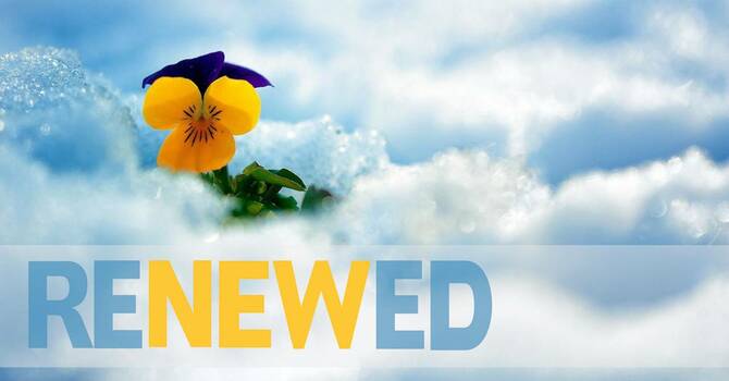 WellWatered The 3 “R”’s “Renewed” image