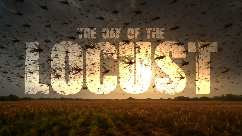 The day of the locust