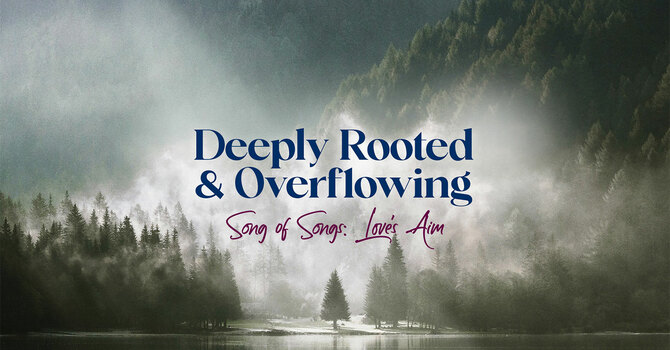 Love's Aim
