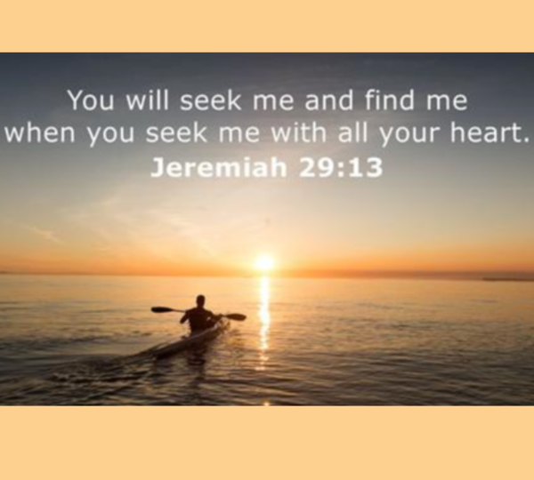 Seekers & Sponges 