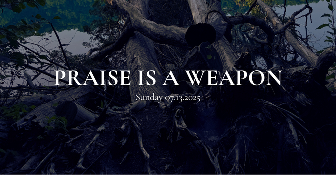 Praise Is A Weapon image