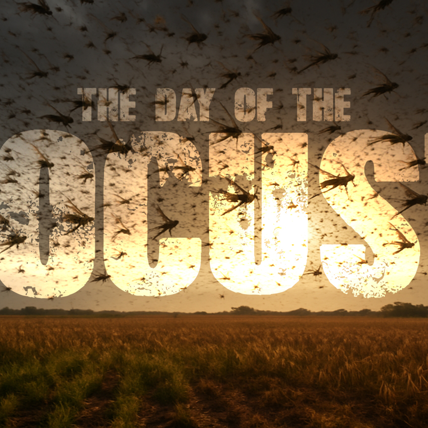 The day of the locust