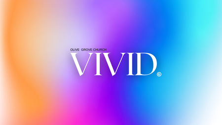 Vivid