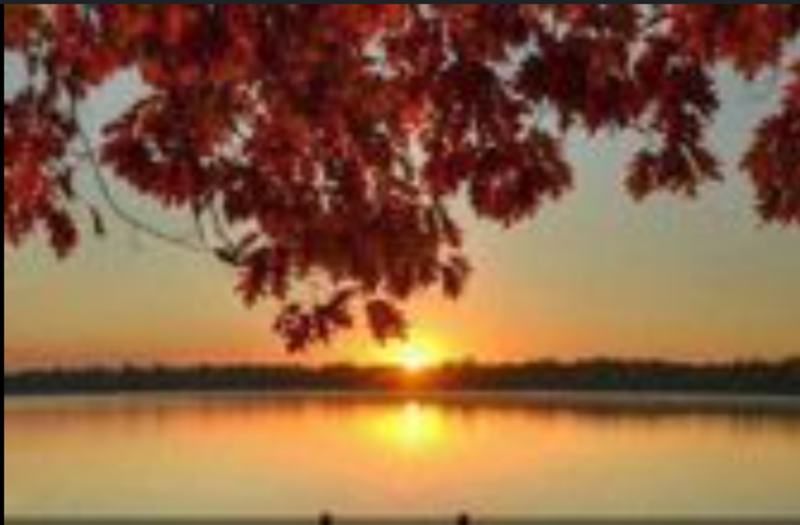 Grace in Stillness