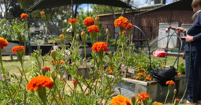 Bacchus Marsh Spring Fair