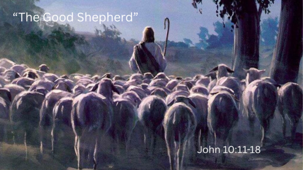 The Good Shepard