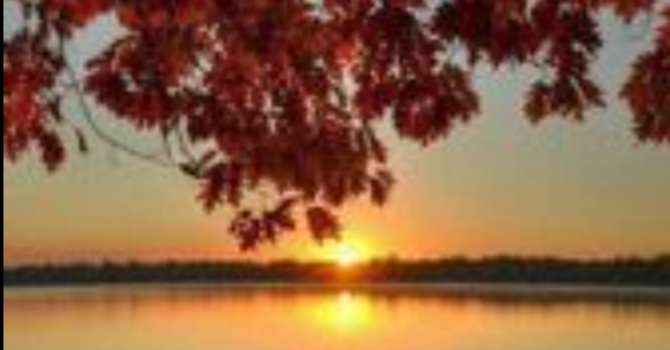 Grace in Stillness