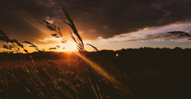 Dying to Self, Alive in Christ