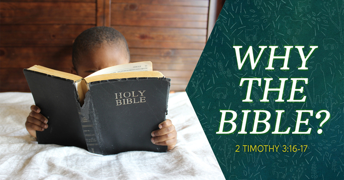 Why the Bible?