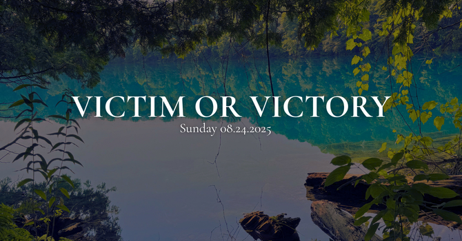 Victim or Victory image
