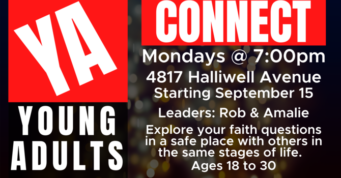 Young Adults Study