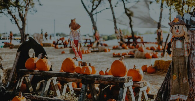 Pumpkin Patch - Decorating