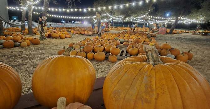 First Pumpkin Delivery