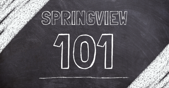 Springview 101