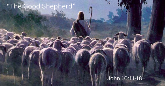 The Good Shepard
