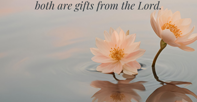 Proverbs 20:12 image