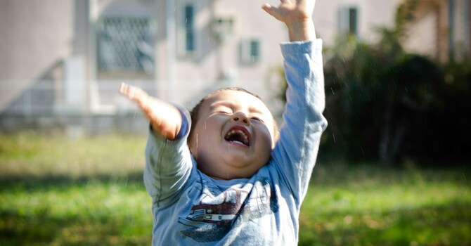 Holy Laughter image