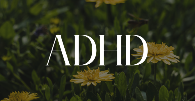 ADHD Resources  image